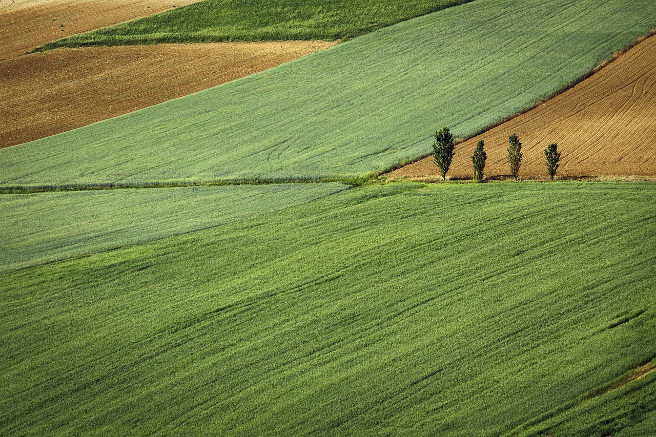 Działka
